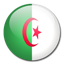 flag of Algeria