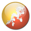 flag of Bhutan