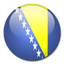 flag of Bosnia and Herzegovina