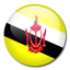 flag of Brunei