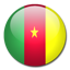 flag of Cameroon