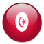 flag of Tunisia